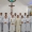 Investiture of new SVD Novices
